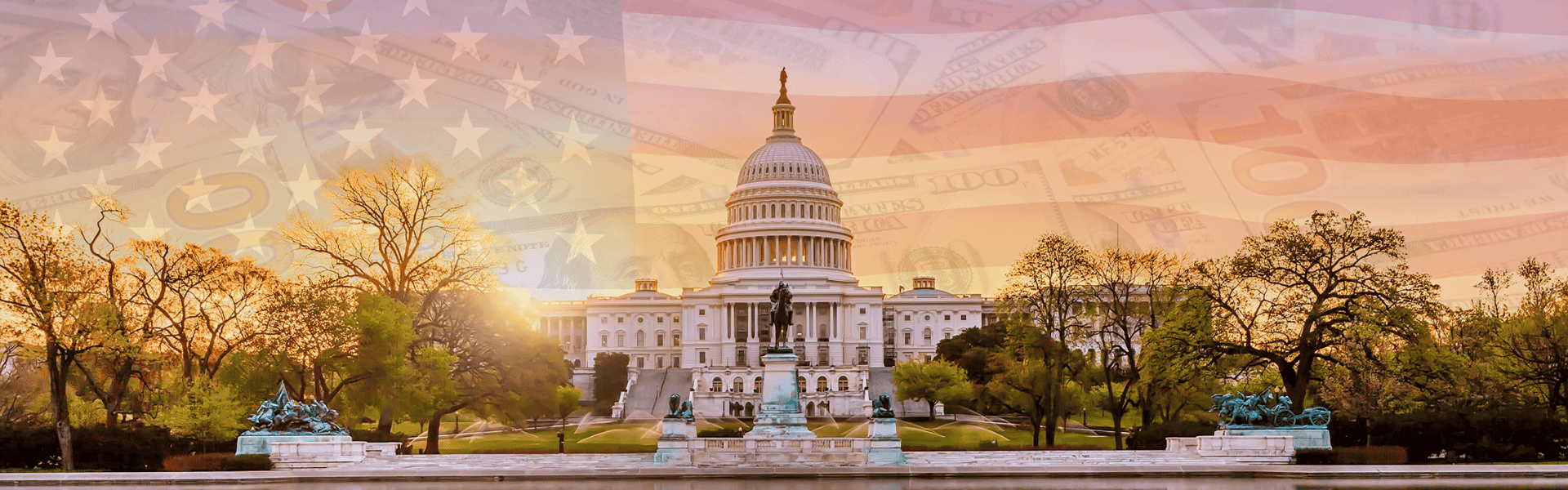 The Ferguson Law and the US Fight for a Small Government